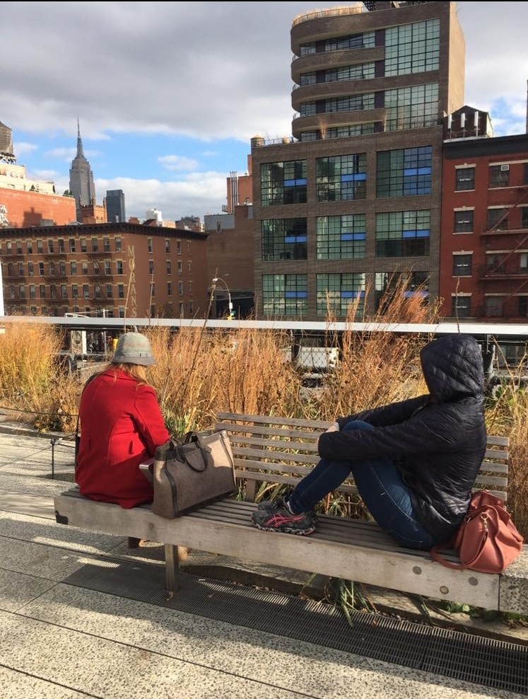 highline nyc photo opps only locals know about travelandledger