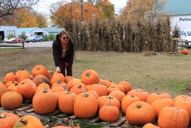 pumpkin poses for fall travelandledger