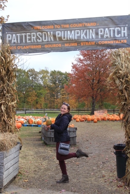 patterson pumpkin farm ohio travelandledger