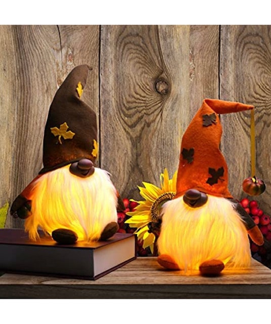 fall light up gnomes